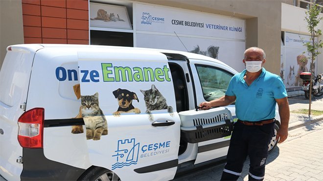 Çeşme Belediyesi’nden sokak hayvanlarına ücretsiz veterinerlik hizmeti