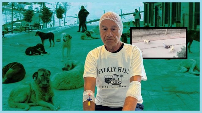 ÇEŞME’DE BAŞIBOŞ KÖPEK DEHŞETİ!