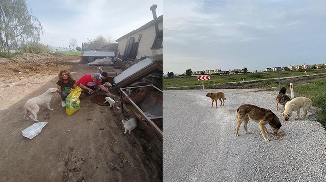 Çiğli Belediyesi Tam Kapanmada Sokak Sakinlerini Unutmadı