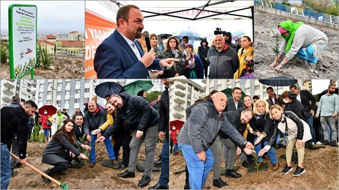 ÇİĞLİ’DE 346 KADIN İÇİN ZEYTİN FİDANLARI TOPRAKLA BULUŞTURULDU