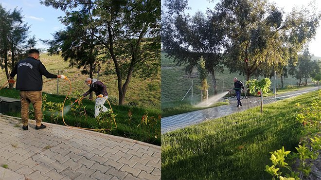 Çiğli parklarında çim ve bitkilere özel bakım
