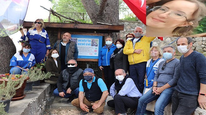 Deniz’in hatırası Kedi Evi’nde yaşayacak