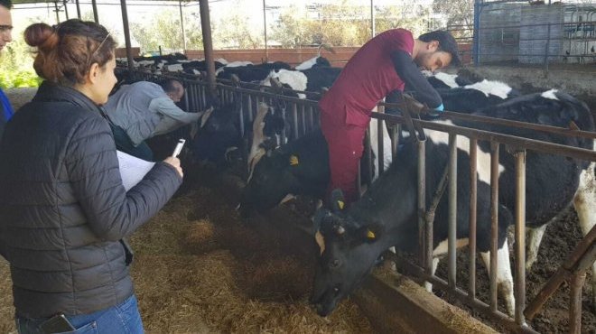 DEÜ’den hayvan kayıplarının önüne geçecek proje
