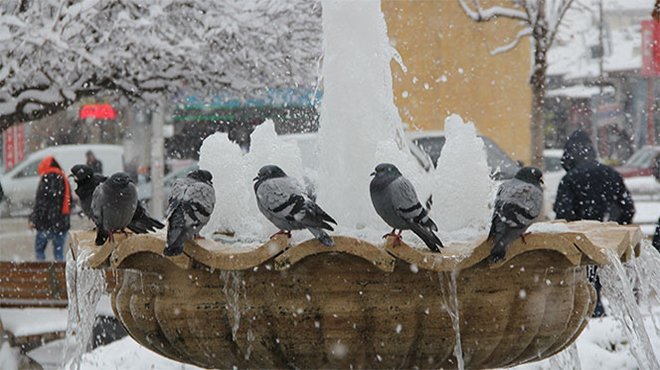 Doğu'da soğuk hava: Göle eksi 40