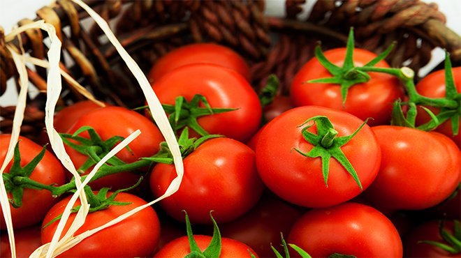 Domates ihracatta rekor kırdı