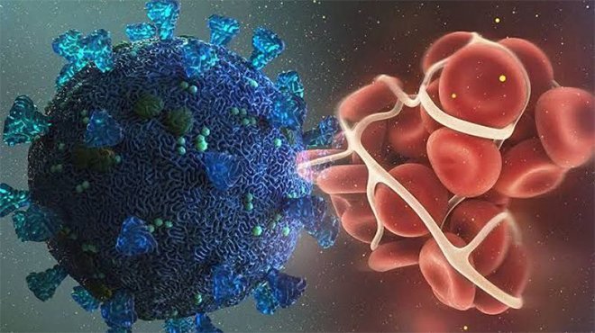 Dünya'da 8 ayda 896 bin 957 ölüm, 27 milyondan fazla vaka