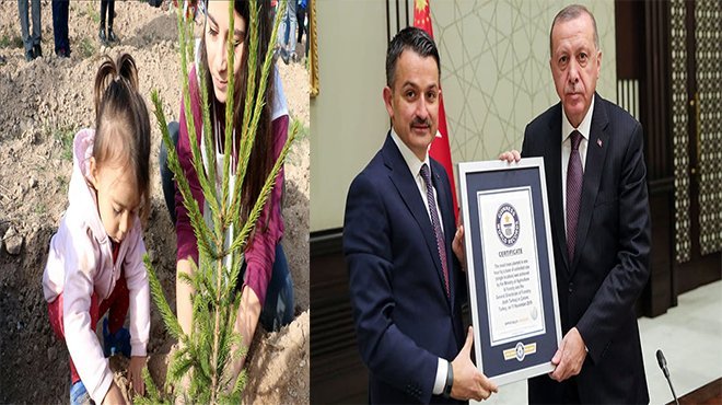 Fidan dikme dünya rekoru belgesi Erdoğan'a verildi
