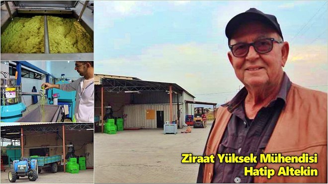 FOÇADA ERKEN HASAT ZEYTİN SIKIMI BAŞLADI