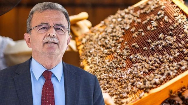 Girgin arıcıların şeker sıkıntısını TBMM’ye taşıdı