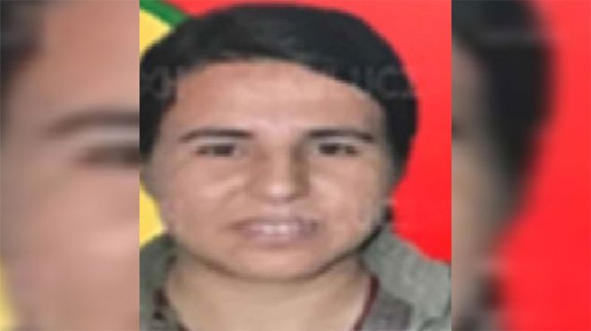 Gri Liste'deki terörist Bitlis'te etkisiz hale getirildi 