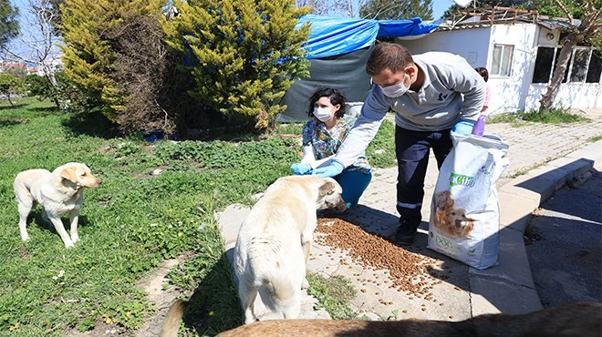 Güzelbahçe Belediyesi Can Dostları Unutmadı