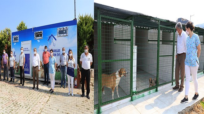 Güzelbahçe Belediyesi’nden Can Dostlara Yeni Yuva