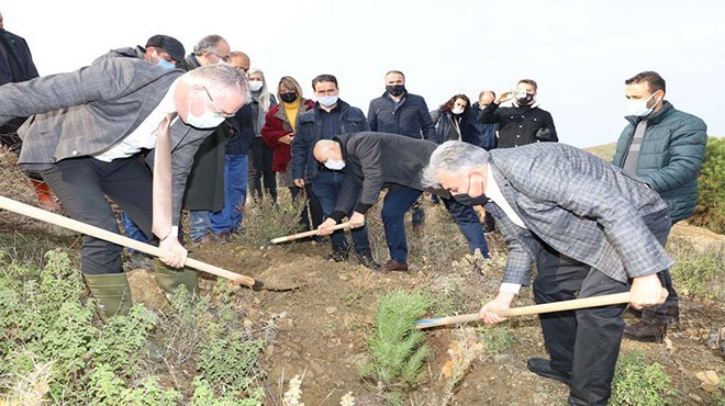 Güzelbahçe’de 500 Fıstık Çamı Toprakla Buluştu