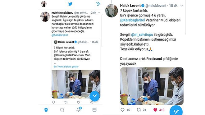 Haluk levent eziyet edilen hayvanlar için harekete geçti