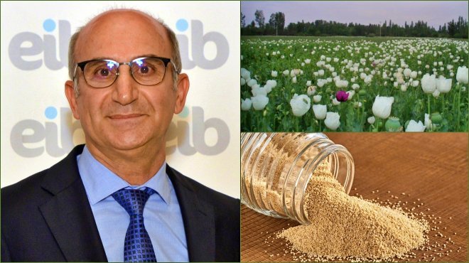 Haşhaş tohumu ihracatında yüzde 923’lük rekor artış