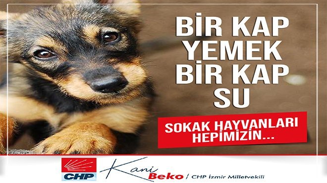 Hayvan hakları için çıksın artık bu yasa!