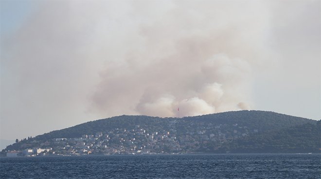 Heybeliada'daki yangına ilişkin gözaltına alınan şahıs tutuklandı