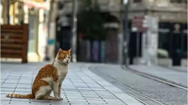 İçişleri Bakanlığından sokağa çıkma kısıtlaması açıklaması