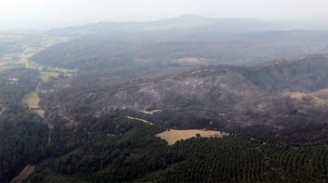 İHA'lar koordinat verdi orman ekipleri söndürdü