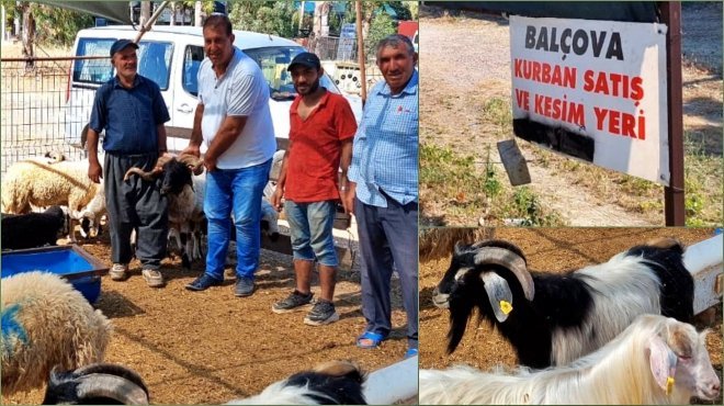 İNCİRALTI KÖPRÜ AYAĞI KURBAN SATIŞ VE KESİM YERİNDE HİZMET DEVAM EDİYOR...