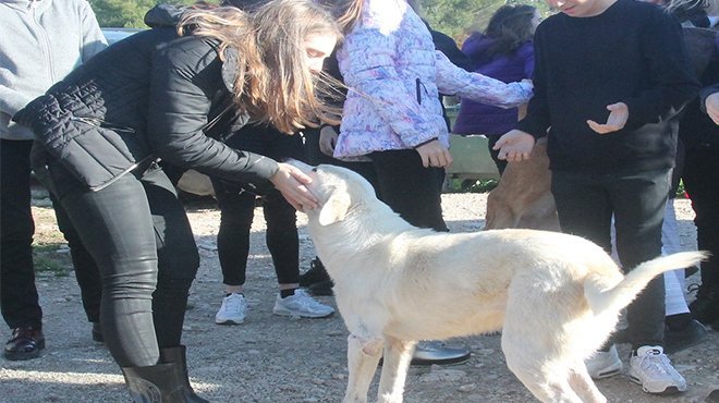 Işıkkentli Öğrencilerden Can Dostlara Destek