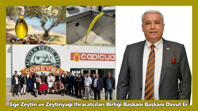 İSPANYOLLARDAN TÜRK ZEYTİN ZEYTİNYAĞINA YOĞUN İLGİ