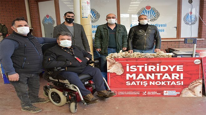 İstiridye Mantarlarının İlk Mahsulleri Satışa Sunuldu