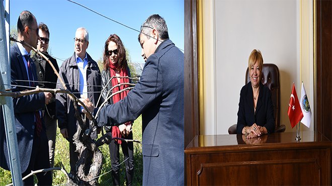 İTB’DEN KARABURUN SULTANİYE ÜZÜMÜNE ÖNEMLİ KATKI