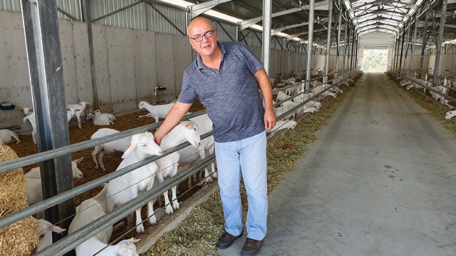 İzmir'de 30 milyon yatırımla keçi çiftliği kuruldu