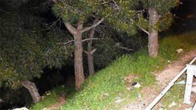 İzmir’de ormanlık alanda insana ait kafatası ve kemik parçaları bulundu
