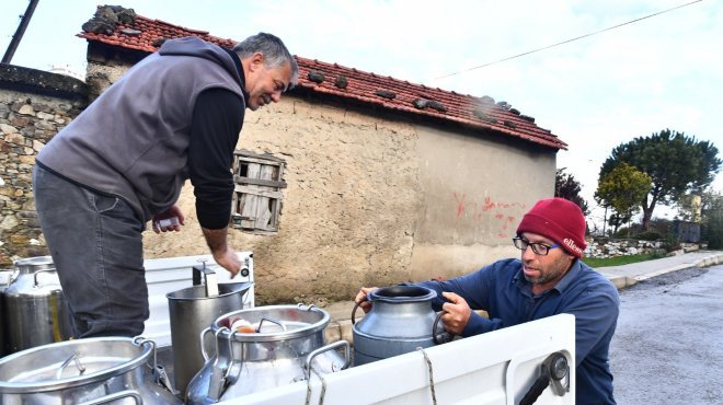 İzmir’de süt üreticisi nefes almaya başladı