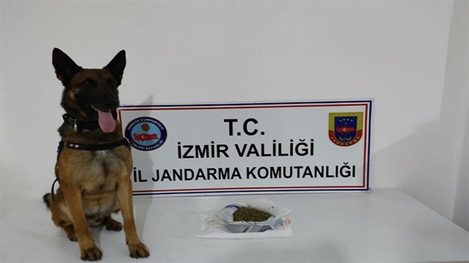 İzmir'de uyuşturucu operasyonu: 20 gözaltı