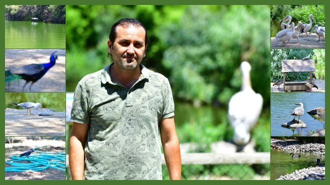 İZMİR DOĞAL YAŞAM PARKI’NIN GÖÇMEN KUŞLARI