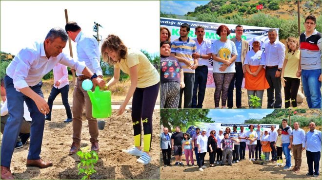 İzmir tarımında yeni ürün: Kara Mürver
