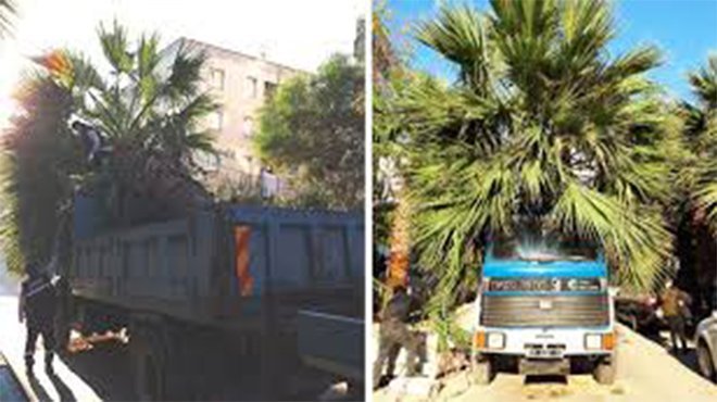 Karabağlar’da hizmetler sürerken yeşil de korunuyor!