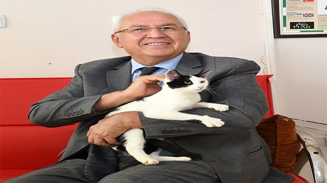 Karabağlar'da kısırlaştırmalar aralıksız sürüyor
