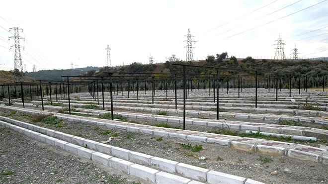 Karabağlar’ın fidanlığı hızla tamamlanıyor