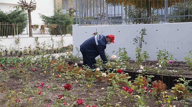 Karşıyaka’ya yeni gül bahçesi