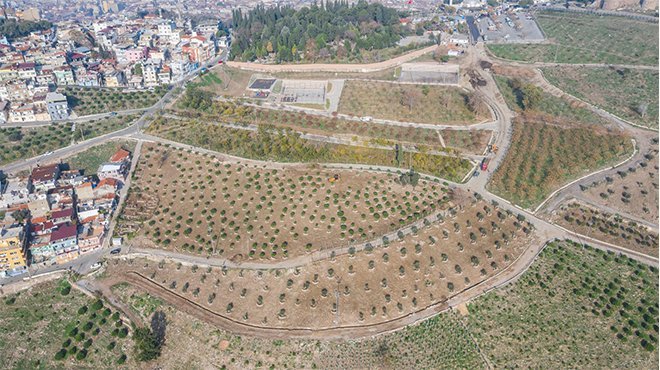 Kekik ve lavanta kokuları yayılacak