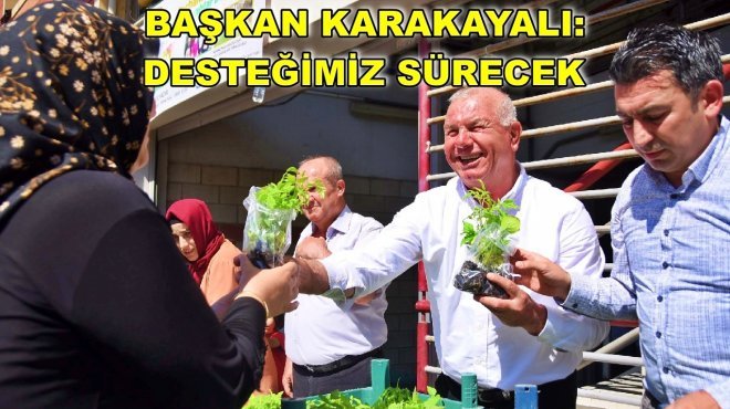 Kemalpaşa Belediyesi 50 bin fide dağıttı