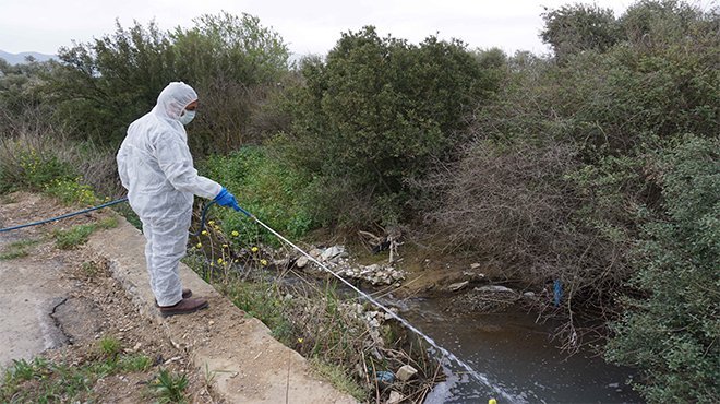 Kemalpaşa Belediyesi Haşere ve Larva ile mücadelesini hızlandırdı