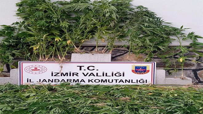 KEMALPAŞA'DA UYUŞTURUCUYA DARBE