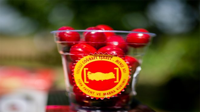 Kemalpaşa Kirazı tescillendi