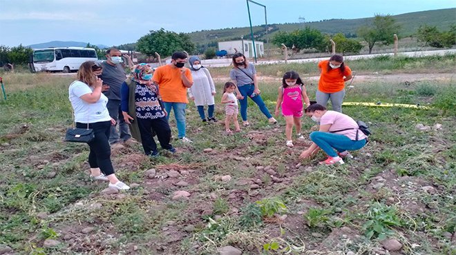 Kınık’ta Tibbi Ve Aromatik Bitki Yetiştiriciliği Kursiyerleri İlk Ürünleri Yerinde İnceledi