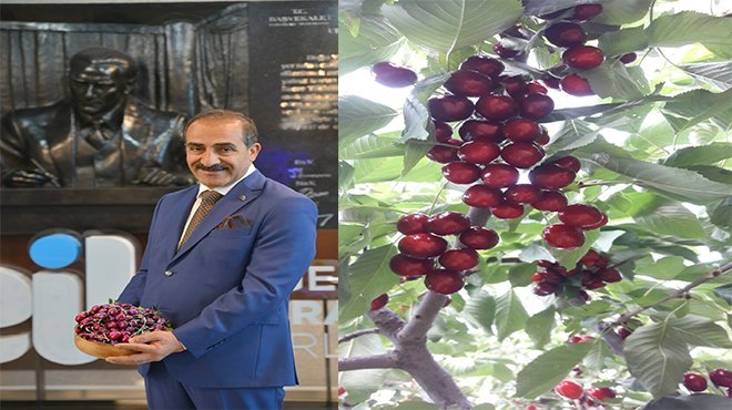 Kiraz ihracatından yeni rekor geldi