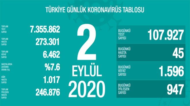 Koca: Koronavirüsün birinci dalgasının ikinci pikini yaşıyoruz