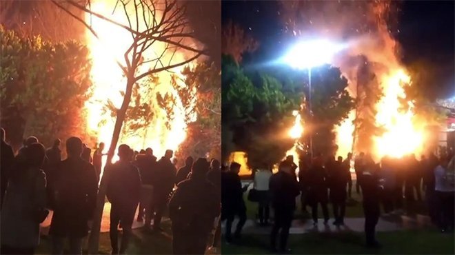 Konak Meydanı’nda ağaçları yaktılar