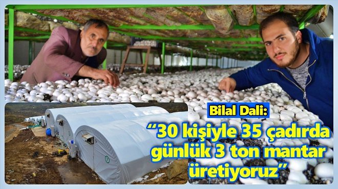 KÖPRÜBAŞI MANTAR ÜRETİM ÜSSÜ OLDU