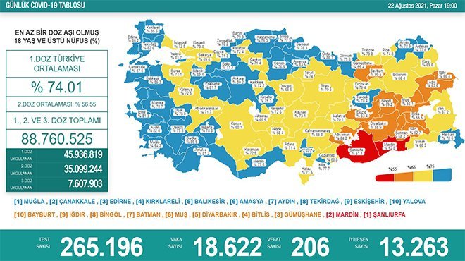 Koronavirüsten 206 kişi hayatını kaybetti