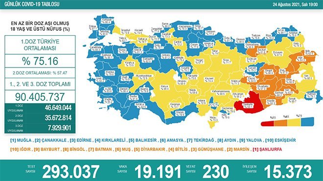 Koronavirüsten 230 kişi hayatını kaybetti